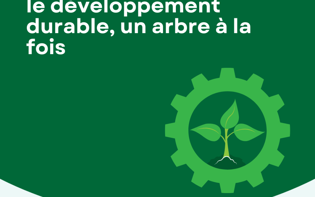 JMP projet DD haies brise vent