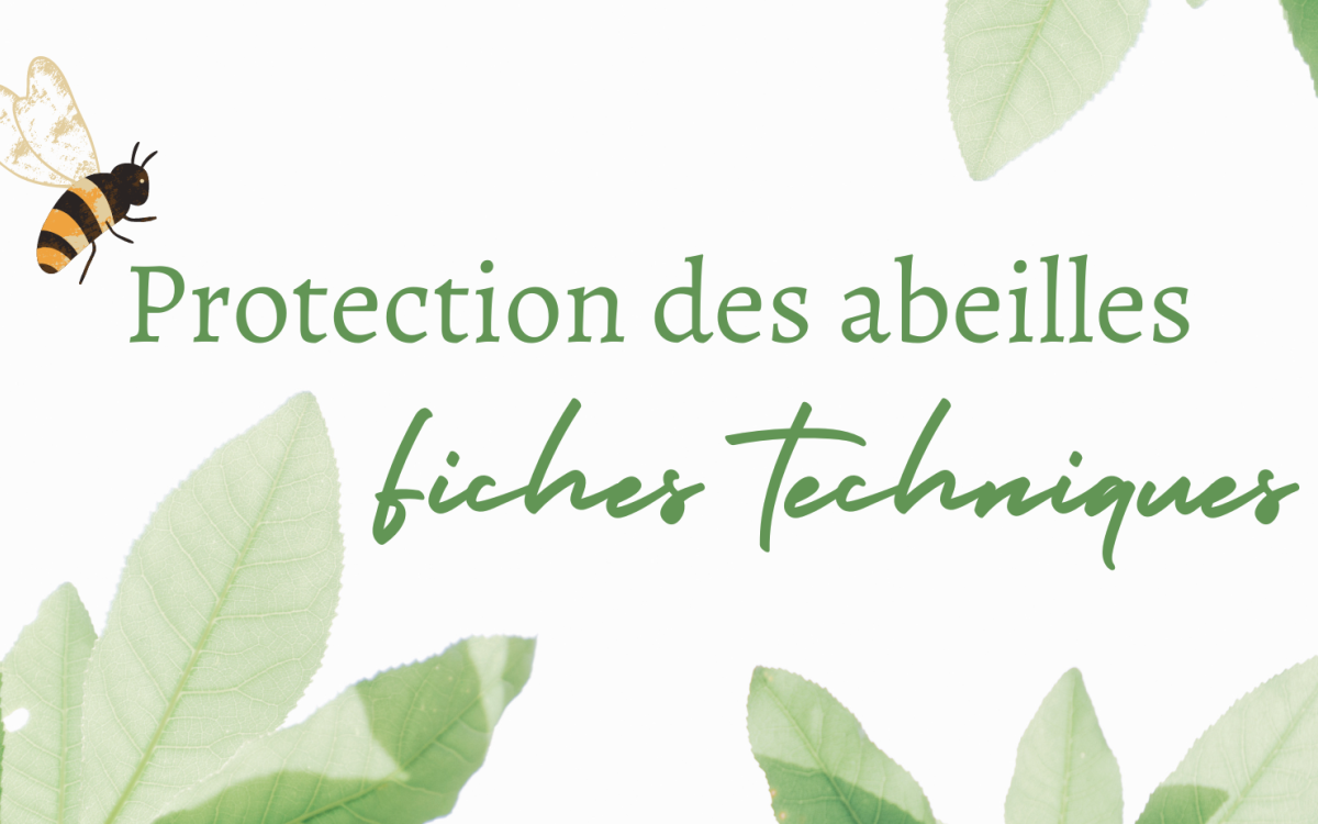 Protection des abeilles - fiches techniques