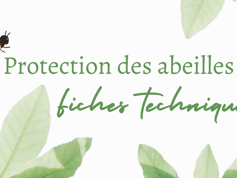 Protection des abeilles - Fiches techniques
