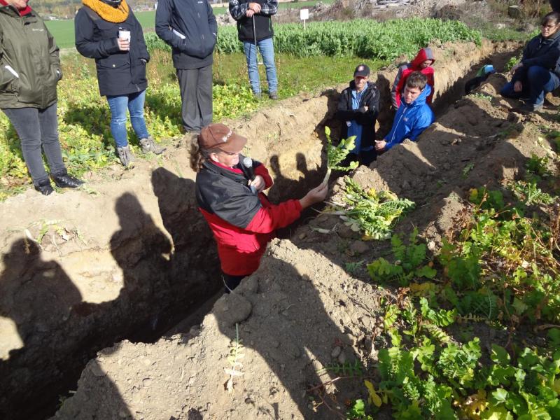 🌿 Une page se tourne chez JMP Consultants 🌿